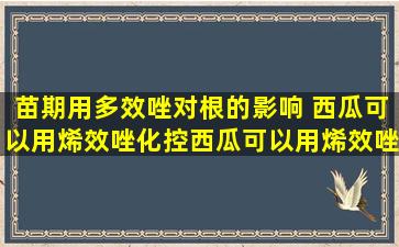 苗期用多效唑对根的影响 西瓜可以用烯效唑化控西瓜可以用烯效唑化控